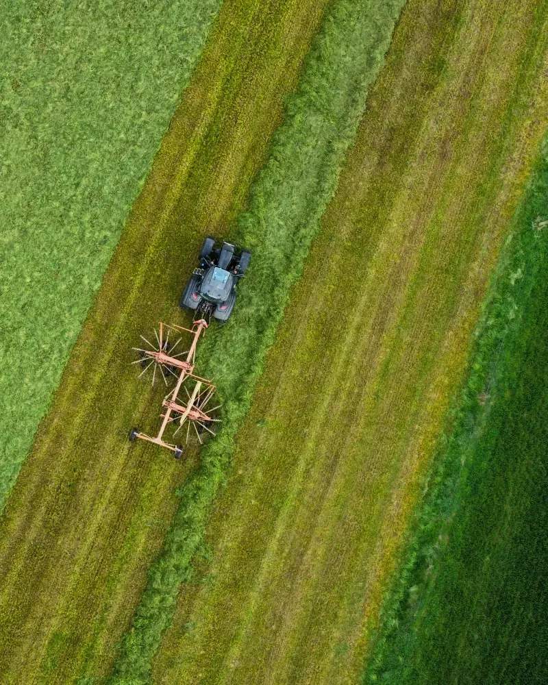 Highland Forage Co.