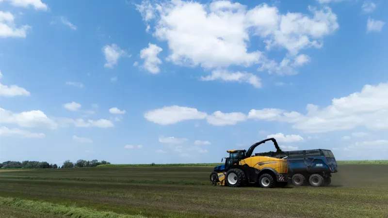 Simple Storage Habits That Help Protect Your Forage