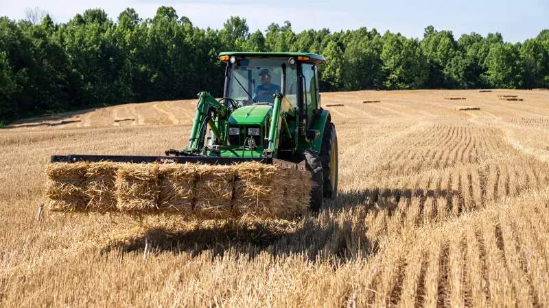 Improving Feed Quality Tracking Across Multiple Lots